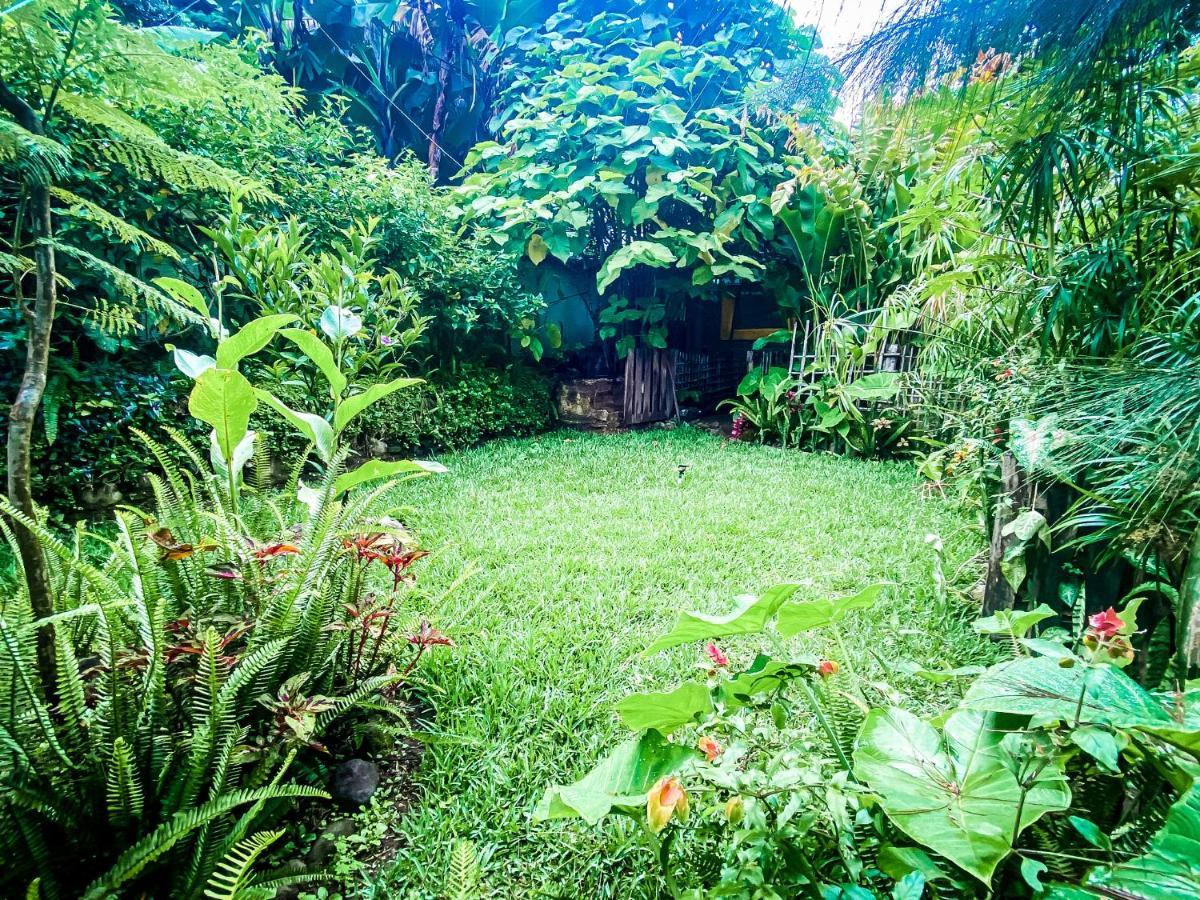 Unicorn Reborn - Peaceful Habitación en casa particular *