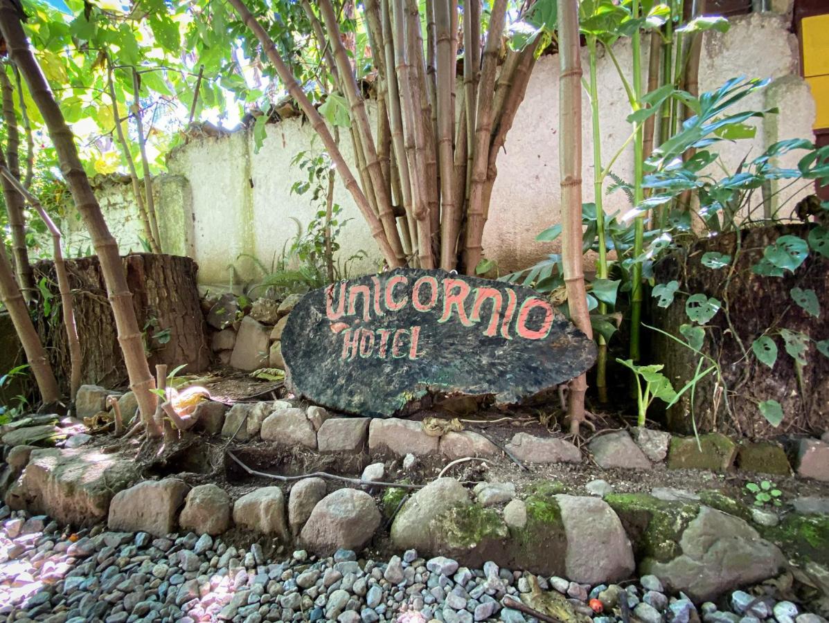 Habitación en casa particular Unicorn Reborn - Peaceful San Marcos La Laguna